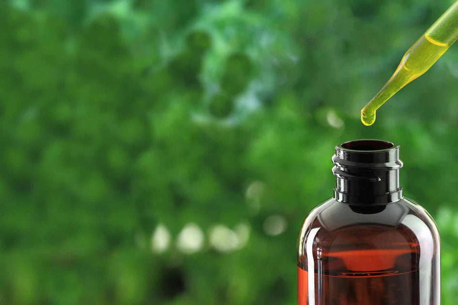 All About Essential Oils My Best Living